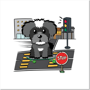 Funny schnauzer is on a skateboard Posters and Art
